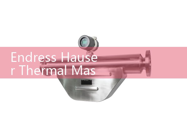 Endress Hauser Thermal Mass Flow Meter t-mass Series: Direct Mass Flow Sizing for Low Gases